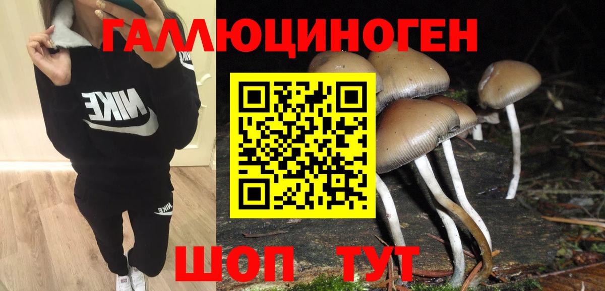 Галлюциногенные грибы Psilocybe Каменск-Уральский